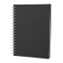 ALTINDAĞ SİYAH KARELİ SPİRALLİ TARİHSİZ DEFTER (17X24 CM)