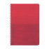 AKTAŞ KIRMIZI TARİHSİZ DEFTER (11X17 CM)