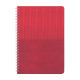 AKTAŞ KIRMIZI TARİHSİZ DEFTER (11X17 CM)